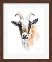 Goat II Fine Art Print