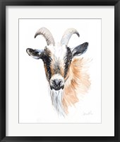 Goat II Framed Print