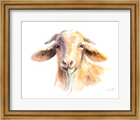 Goat IV Fine Art Print