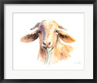 Goat IV Fine Art Print