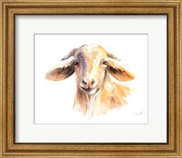 Morning Goat Fine Art Print