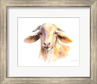Morning Goat Fine Art Print