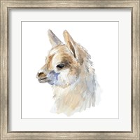 Side Portrait Llama Fine Art Print