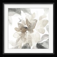 Soft May Blooms I Fine Art Print