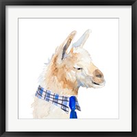 Formal Llama Fine Art Print