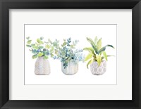 Decorative Plant Arrangement I Fine Art Print