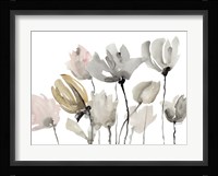 Follow Your Dreams Floral Horizontal Fine Art Print