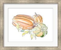 Harvest Pumpkin and Squash I Fine Art Print