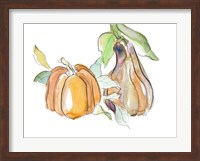 Harvest Pumpkin and Squash II Fine Art Print