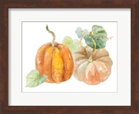 Pumpkin Harvest I Fine Art Print