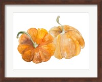 Pumpkin Harvest II Fine Art Print