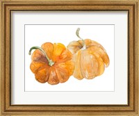 Pumpkin Harvest II Fine Art Print
