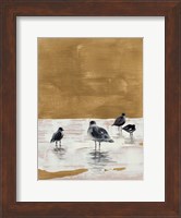 Seagulls Chillin' Fine Art Print