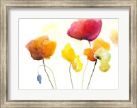 Friendly Tulips Fine Art Print