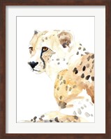 Seated Cheetah Fine Art Print