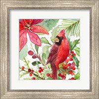 Poinsettia and Cardinal I Fine Art Print