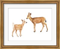 Two Young Deer Fine Art Print
