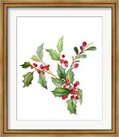 Holly Branches II Fine Art Print