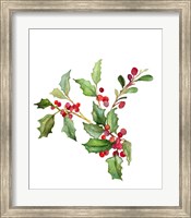 Holly Branches II Fine Art Print