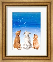 Three Dogs Star Gazing Fine Art Print