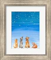 Four Dogs Star Gazing Fine Art Print