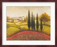 Flourishing Vineyard II Fine Art Print