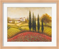 Flourishing Vineyard II Fine Art Print
