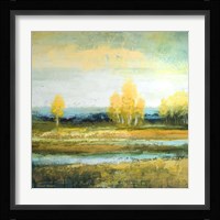 Marsh Lands I Framed Print