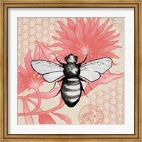 Bee on Pink Flower Square Fine Art Print