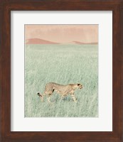 Cheetah in the Wild Fine Art Print