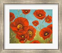 Field of Poppies I Fine Art Print