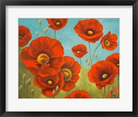 Field of Poppies I Framed Print