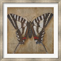 Butterfly I Fine Art Print
