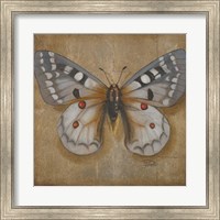Butterfly II Fine Art Print