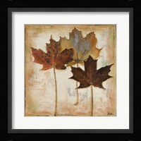 Natural Leaves III Framed Print
