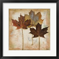 Natural Leaves III Framed Print