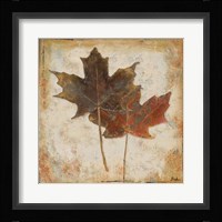 Natural Leaves IV Framed Print