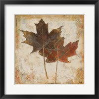 Natural Leaves IV Framed Print