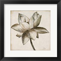 Sepia Lotus I Fine Art Print