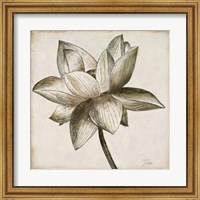 Sepia Lotus I Fine Art Print