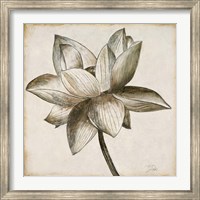 Sepia Lotus I Fine Art Print