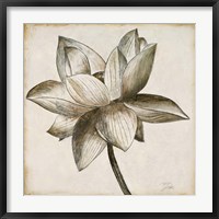 Sepia Lotus I Fine Art Print
