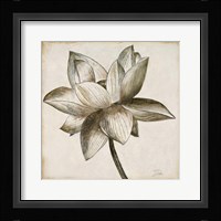 Sepia Lotus I Framed Print
