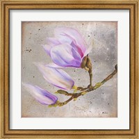 Magnolia on Silver Leaf I Fine Art Print
