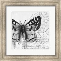 Butterfly Studies I Fine Art Print