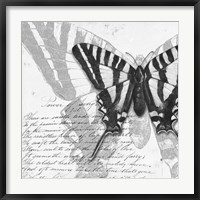 Butterflies Studies II Fine Art Print