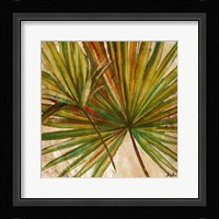 New Palmera Take Two I Framed Print
