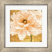 Beautiful Cream Peonies Script I Fine Art Print