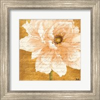 Beautiful Cream Peonies Script II Fine Art Print