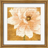 Beautiful Cream Peonies Script II Fine Art Print